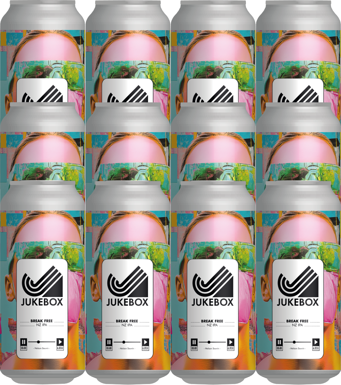 Pack NZ IPA x12