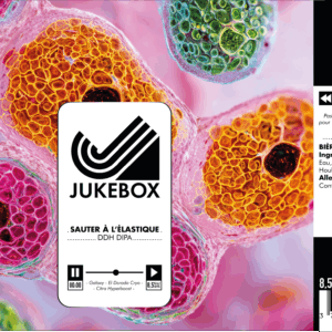 Maxi PACK IPA – 24 Canettes