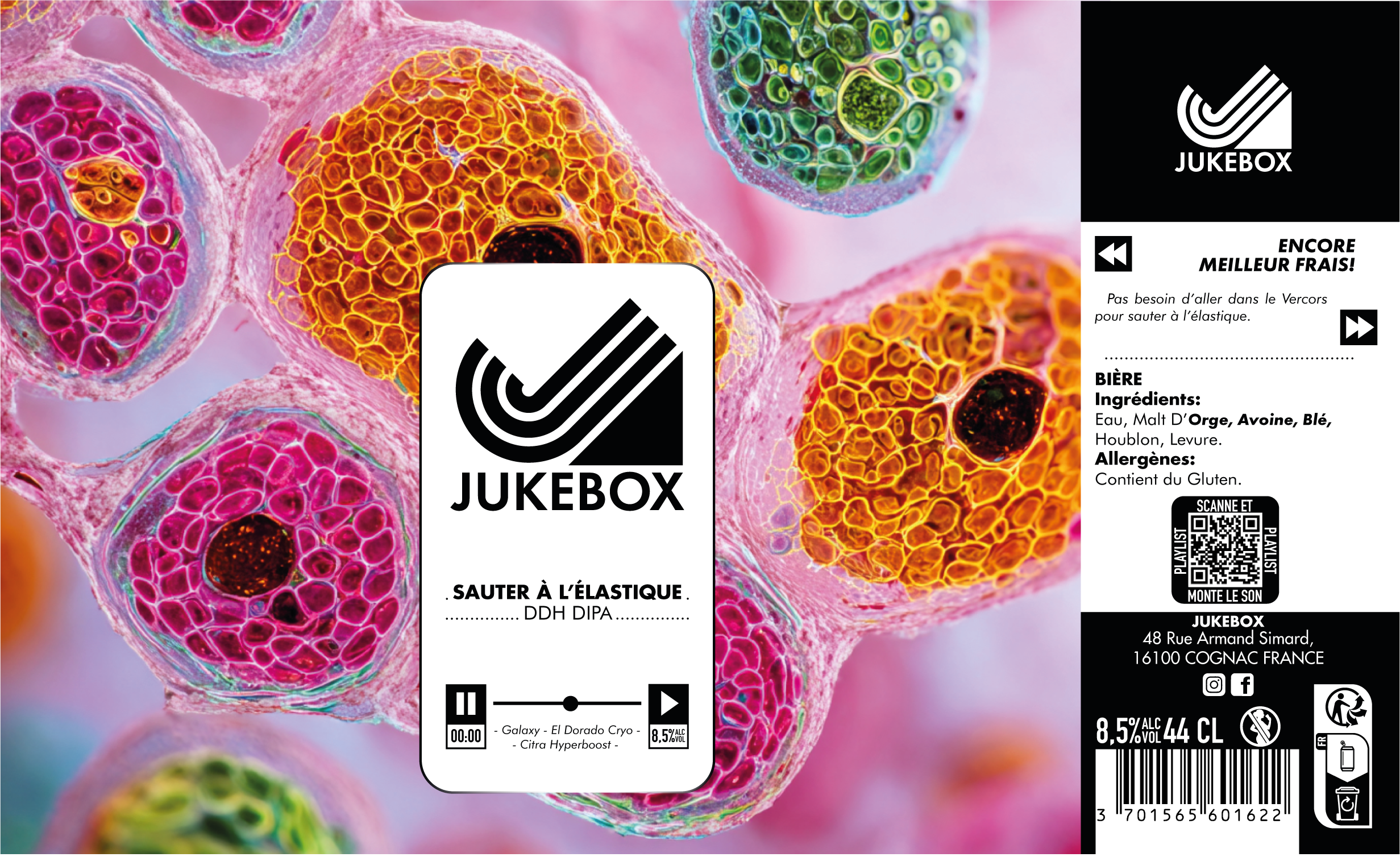 -20% Sauter à l'Elastique - DDH Double IPA -20% – Image 3