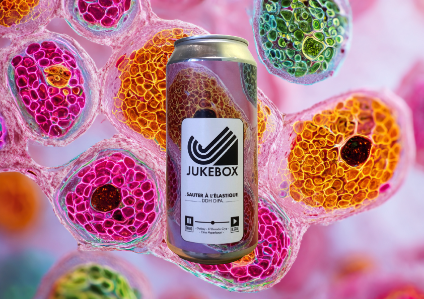 Brasserie Jukebox Sauter à l'élastique double IPA google
